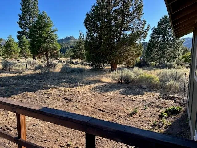 a view of a yard with wooden fence and trees