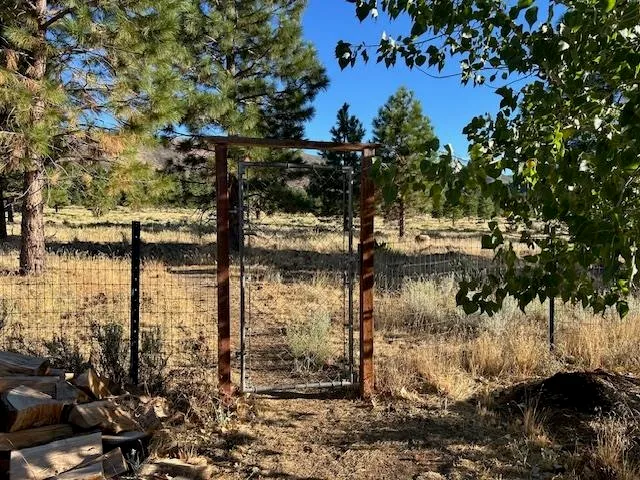 a view of a yard with a tree
