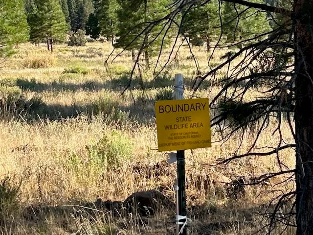 $365,000 | 995 West Sierra Brooks Drive, Loyalton, CA 96118