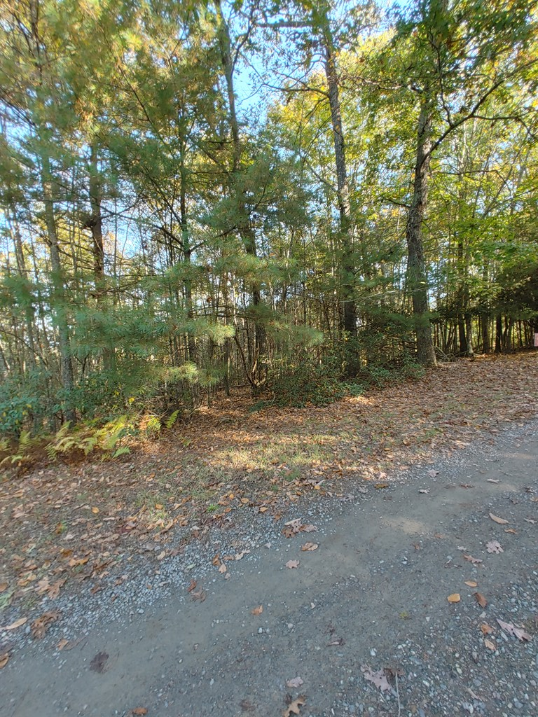 10 Upper Ridge Road, Unit 10 Meadows Of Dan, VA 24120 - Photo 8 of 30 Gallery Image 8