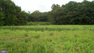 39009 State Line Road Greenbackville, VA 23356 - Photo 2 of 8 Gallery Image 2