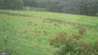 39009 State Line Road Greenbackville, VA 23356 - Photo 4 of 8 Gallery Image 4