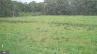 39009 State Line Road Greenbackville, VA 23356 - Photo 7 of 8 Gallery Image 7