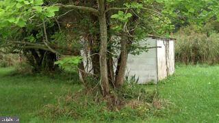 39009 State Line Road Greenbackville, VA 23356 - Photo 8 of 8 Gallery Image 8