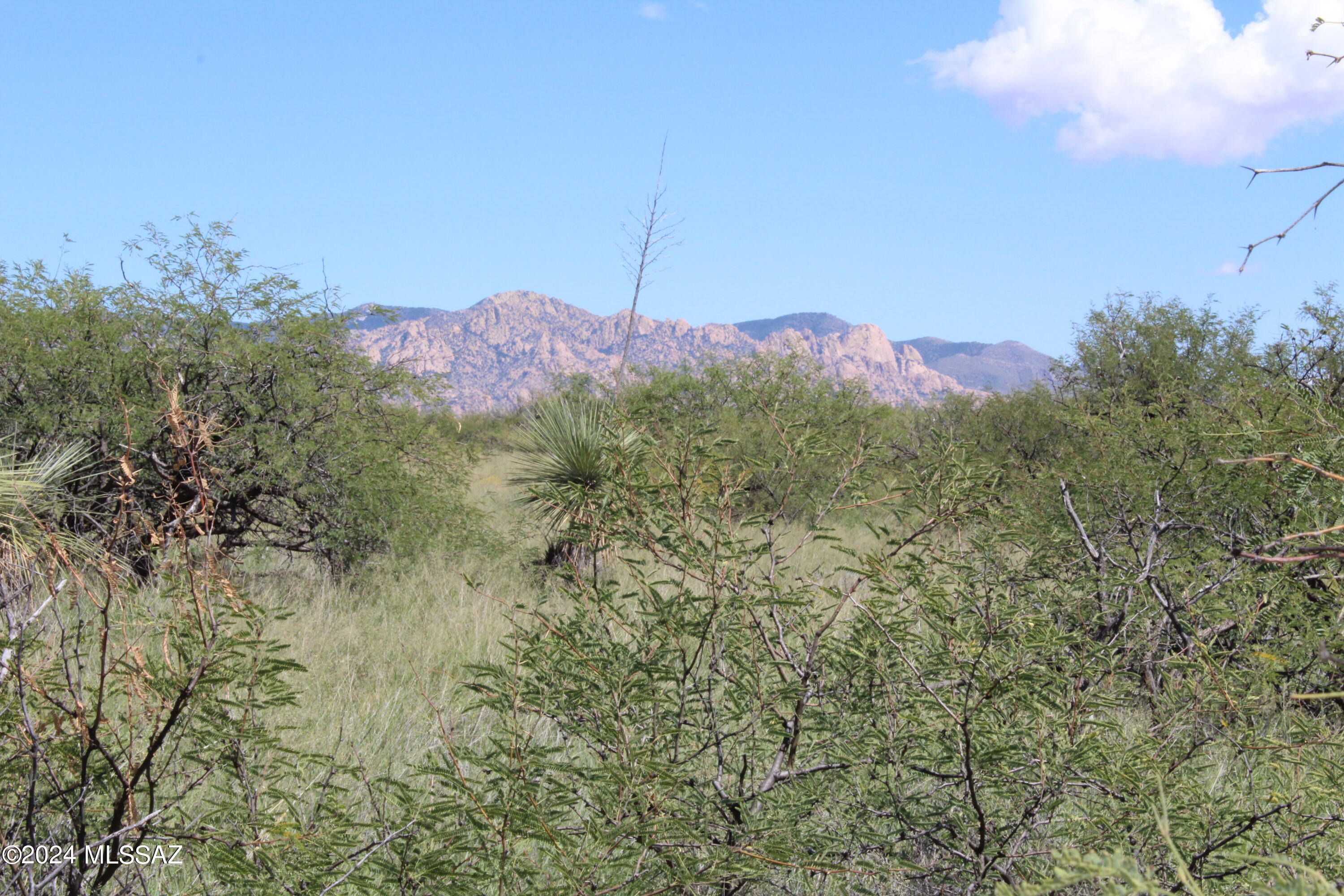 Tbd East Naiche Road, Unit 56 St. David, AZ 85630 - Photo 2 of 17