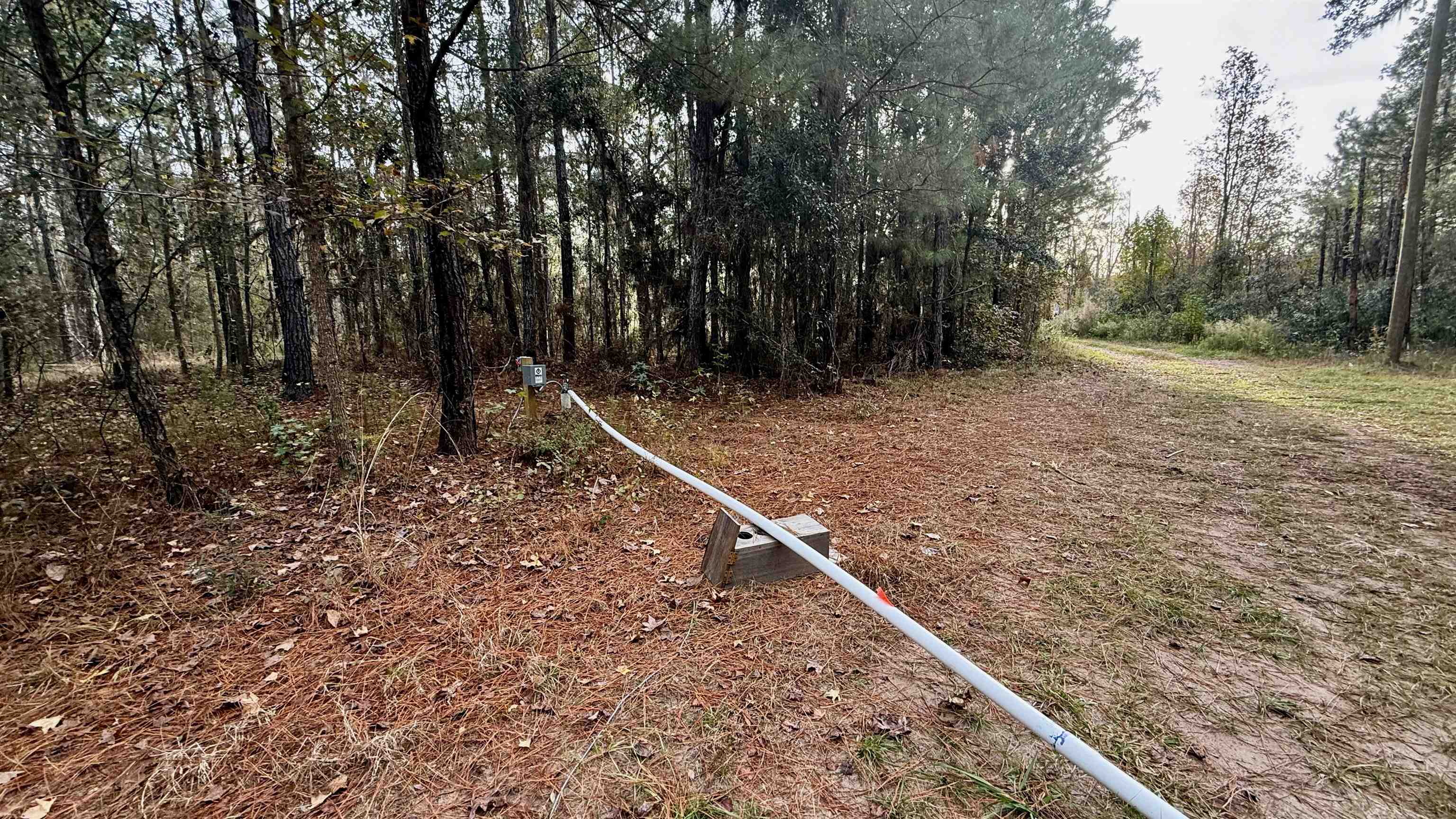 2909 Shellman Bluff Road Northeast, Unit 2909 SHELLMAN BLUFF RD N Townsend, GA 31331 - Photo 40 of 50