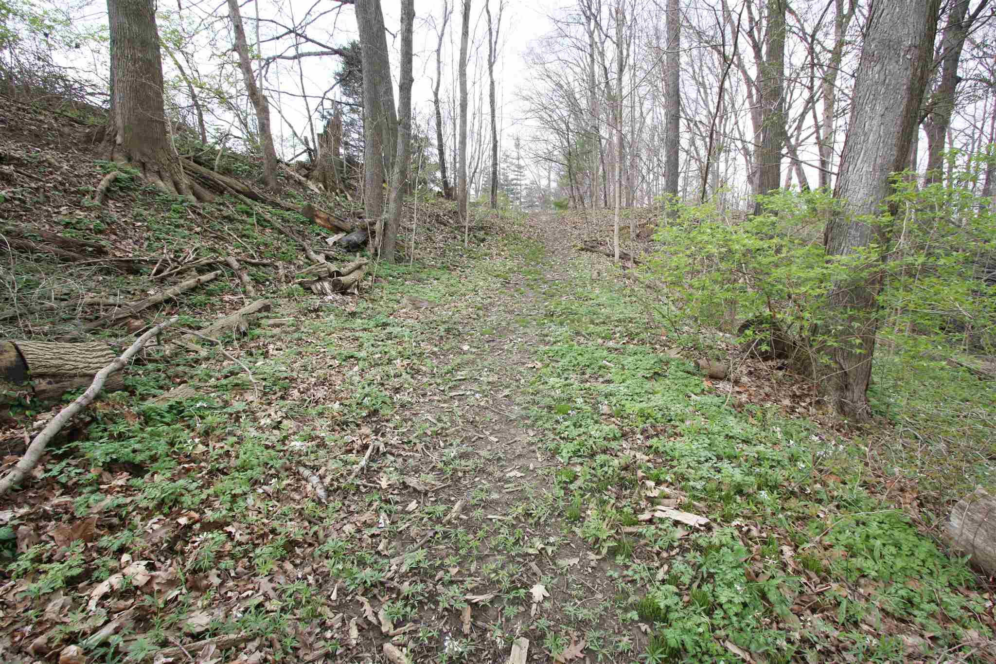 11821 St Joe Road Grabill, IN 46741 - Photo 31 of 36