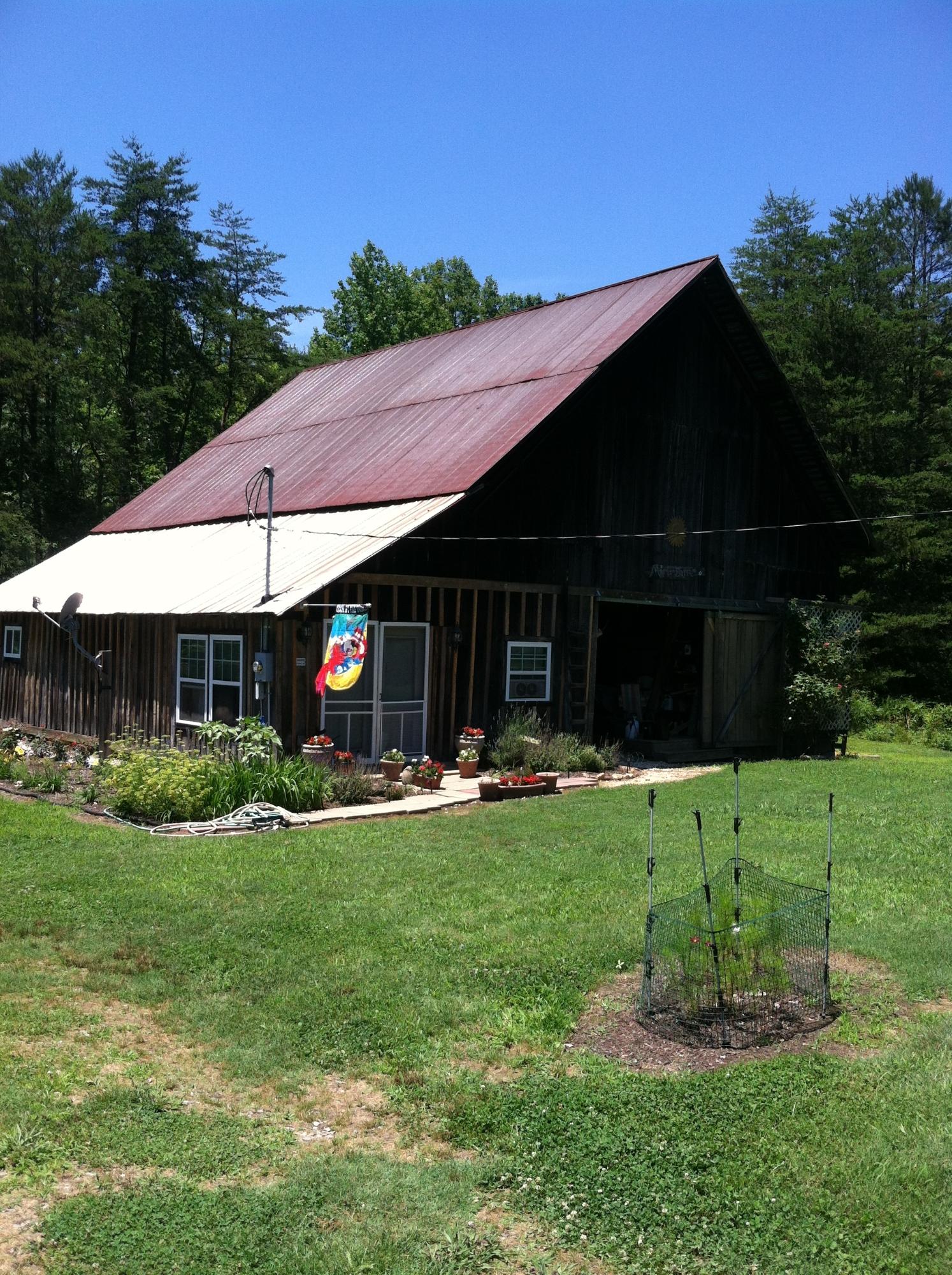 1056 Cagle Road Tellico Plains, TN 37385 - Photo 8 of 15 spirng