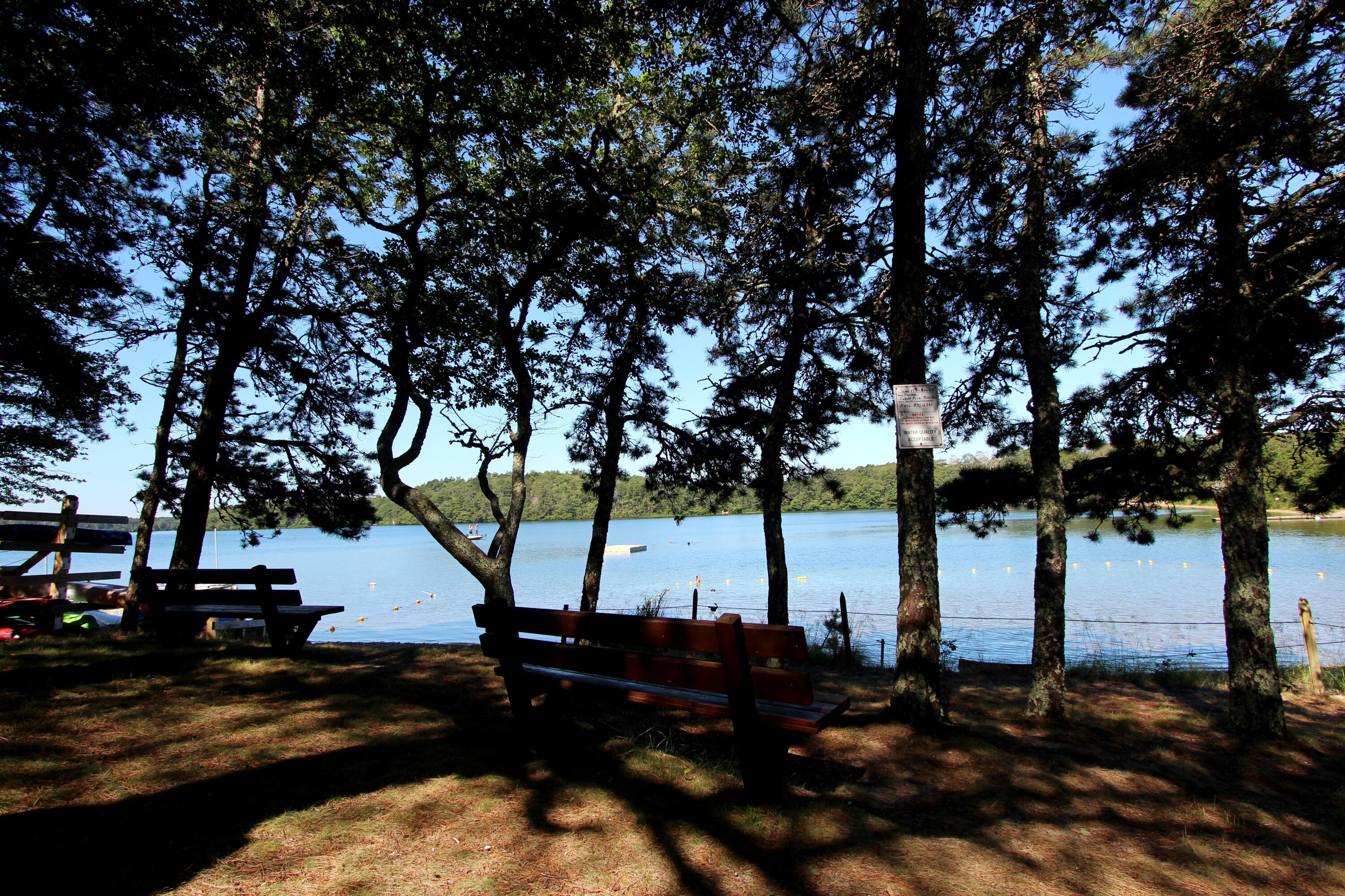 910 Crowells Bog Road Brewster, MA 02631 - Photo 29 of 32 Sheep Pond benches