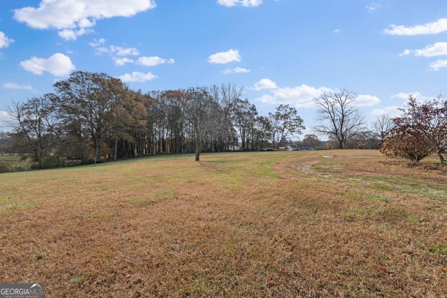 21984 Main Street Ranburne, AL 36273 - Photo 36 of 49