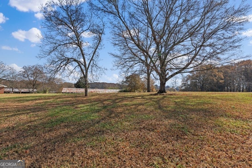 21984 Main Street Ranburne, AL 36273 - Photo 38 of 49