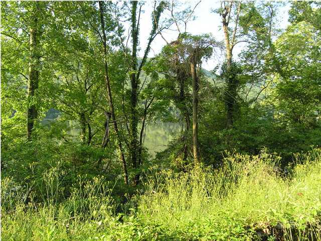 2375 Mullins Cove Road Whitwell, TN 37397 - Photo 3 of 4 Additional Photo