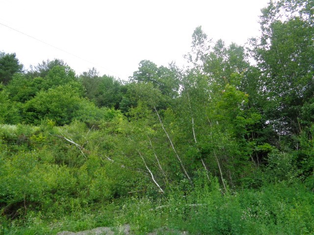 0 Crab Apple Ridge Randolph, VT 05060 - Photo 1 of 2