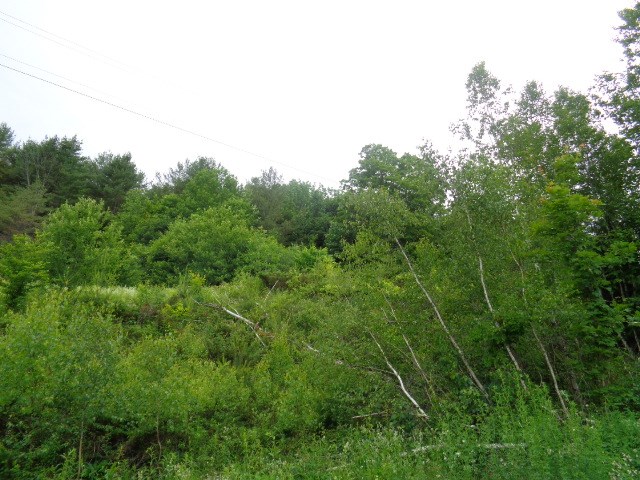 0 Crab Apple Ridge Randolph, VT 05060 - Photo 2 of 2