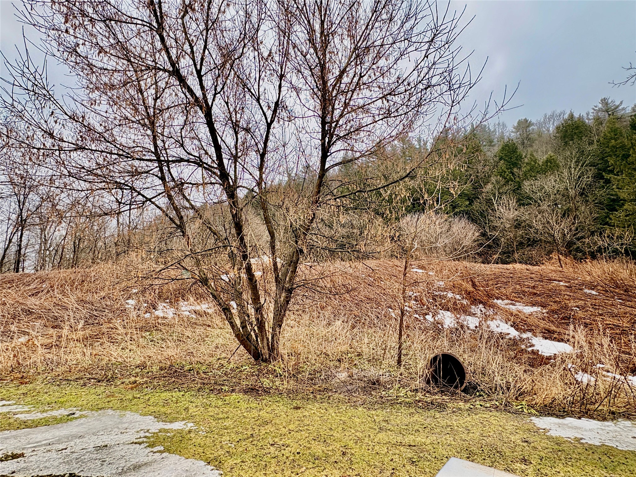 1017 Day Hollow Road Endicott, NY 13760 - Photo 11 of 36