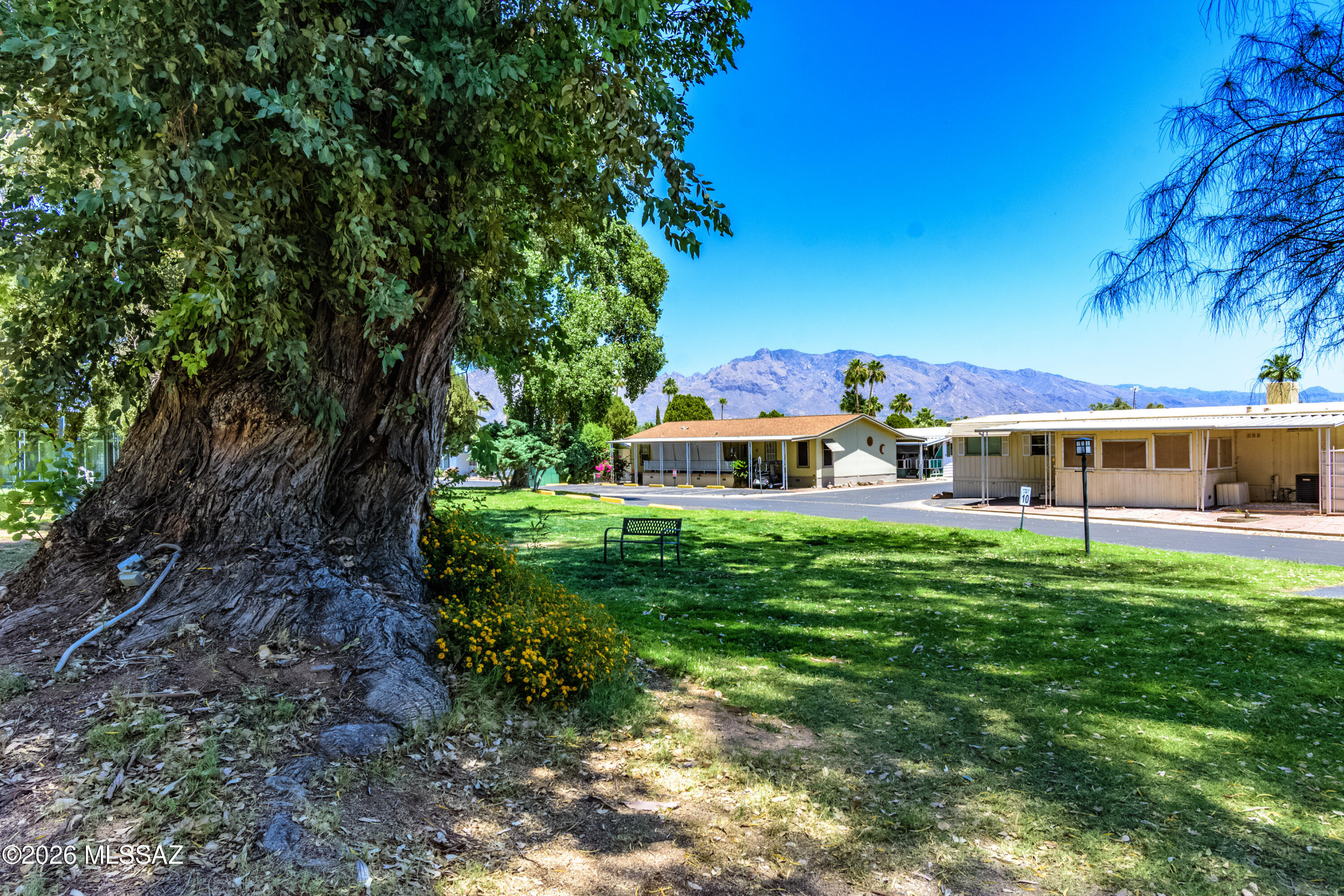 4550 North Flowing Wells Road, Unit 155 Tucson, AZ 85705 - Photo 23 of 40 a front view of a house with garden
