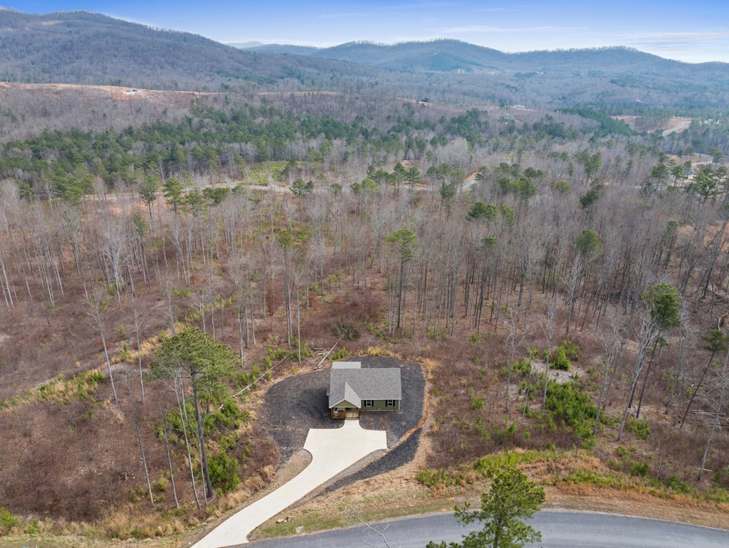 1281 Twisted Oak Road Talking Rock, GA 30175 - Photo 17 of 31