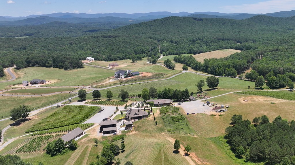 1281 Twisted Oak Road Talking Rock, GA 30175 - Photo 29 of 31