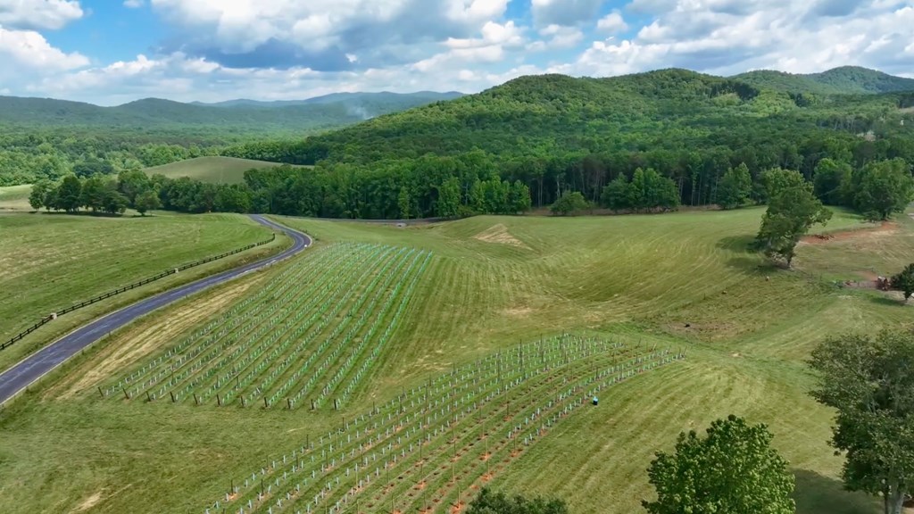 1281 Twisted Oak Road Talking Rock, GA 30175 - Photo 30 of 31
