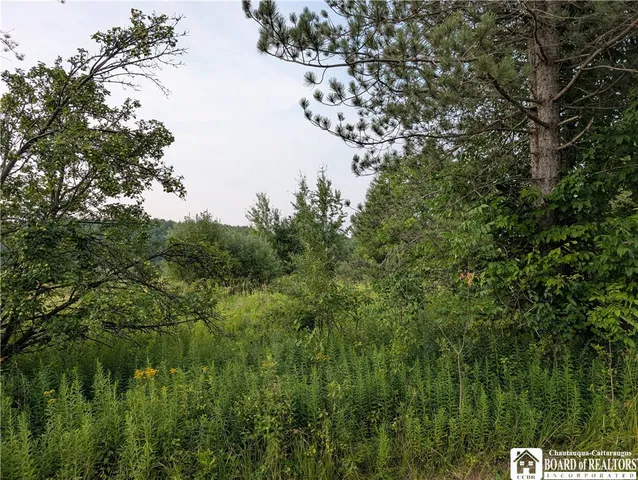 $34,900 | 2088 E Road, Charlotte, NY 14782