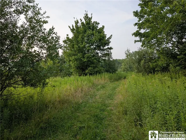 $34,900 | 2088 E Road, Charlotte, NY 14782