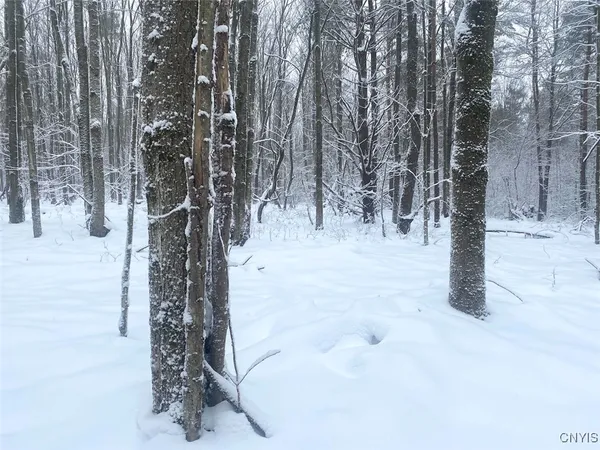 $34,900 | East Hill Road, Friendship, NY 14739