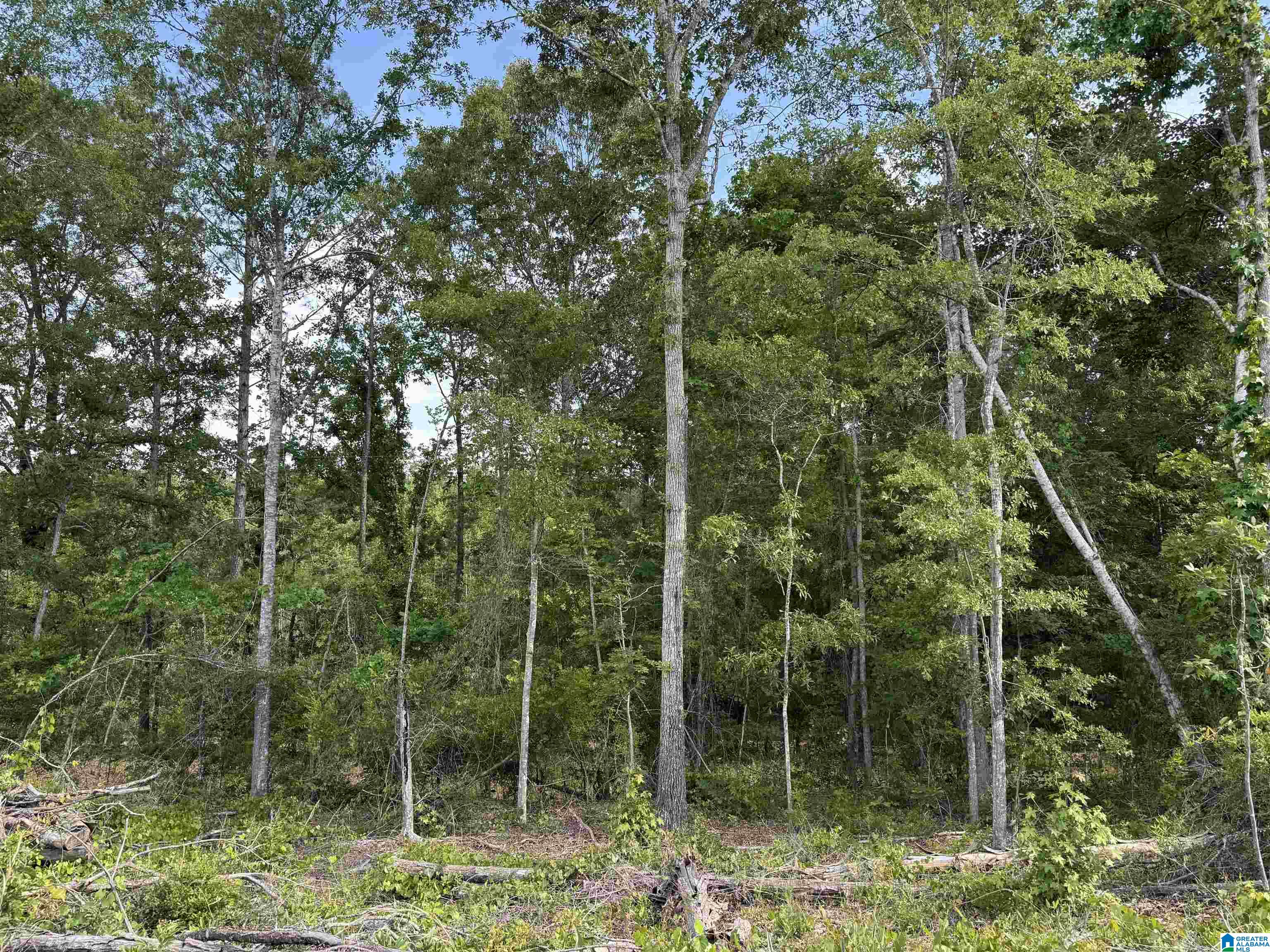 Active Road, Unit 5 Lawley, AL 36793 - Photo 21 of 38