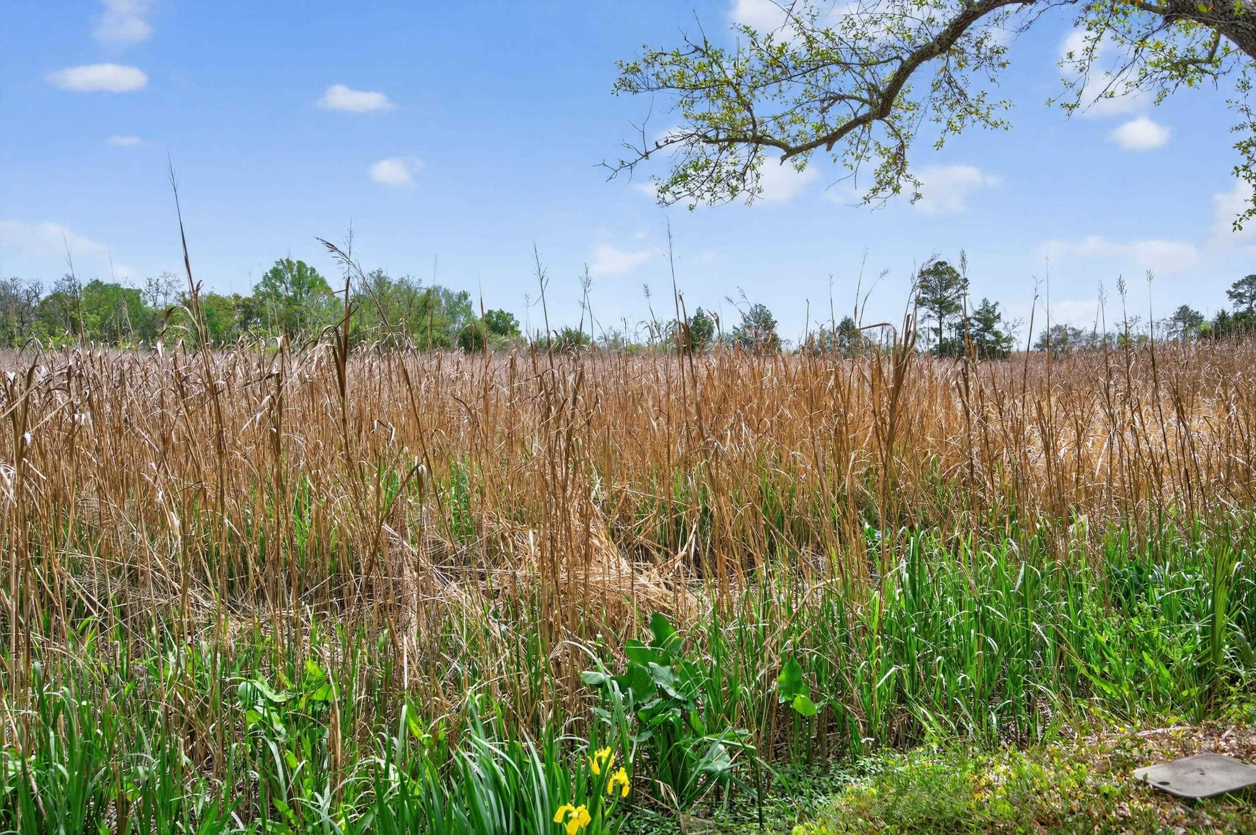331 East Bay Street Georgetown, SC 29440 - Photo 30 of 30