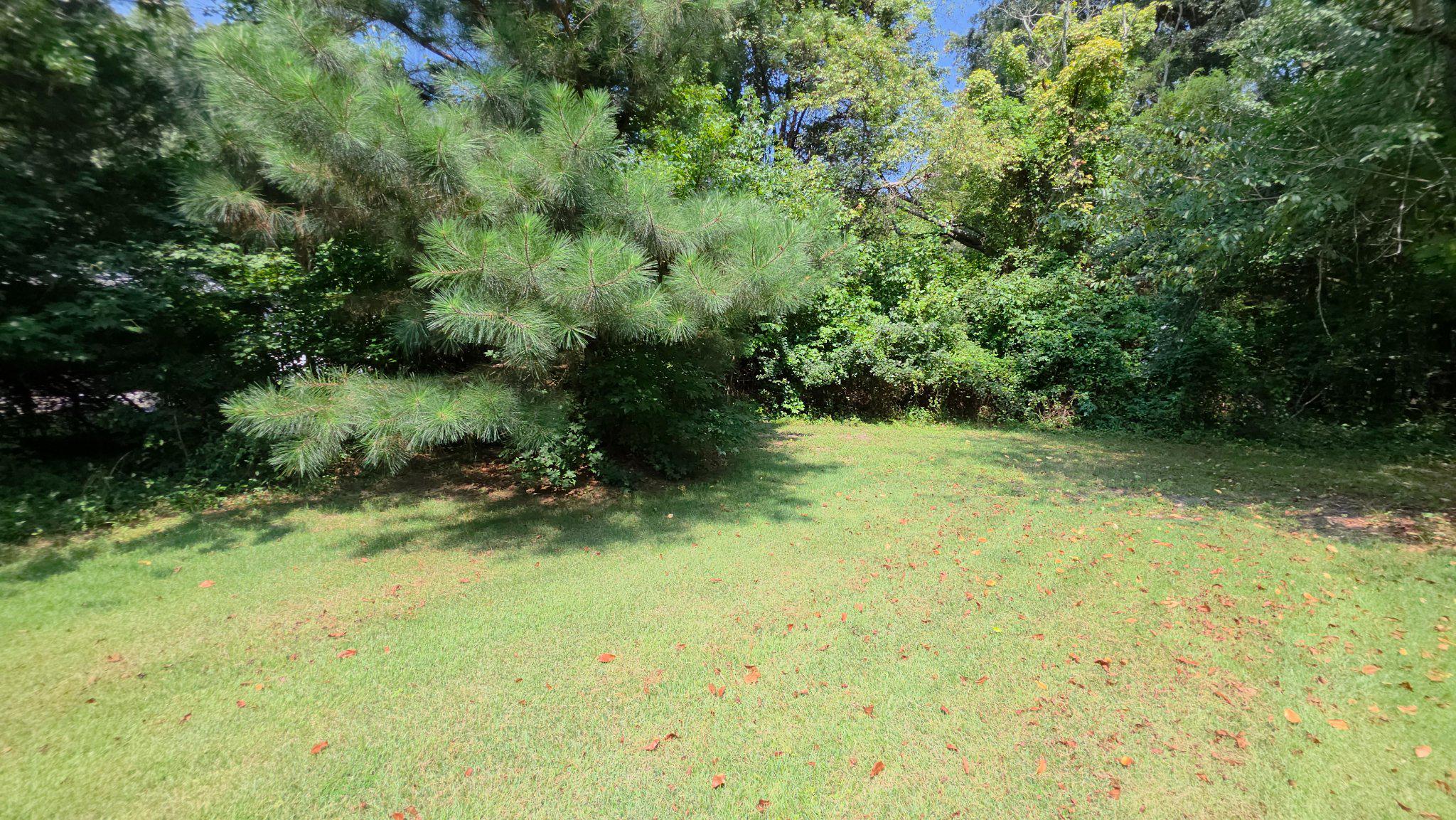 Mcglue Road Chaptico, MD 20621 - Photo 20 of 26 Lot 14 Lush green retreat in nature's embrace.