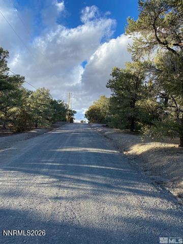 21650 Palamino Road Reno, NV 89521 - Photo 3 of 3 5