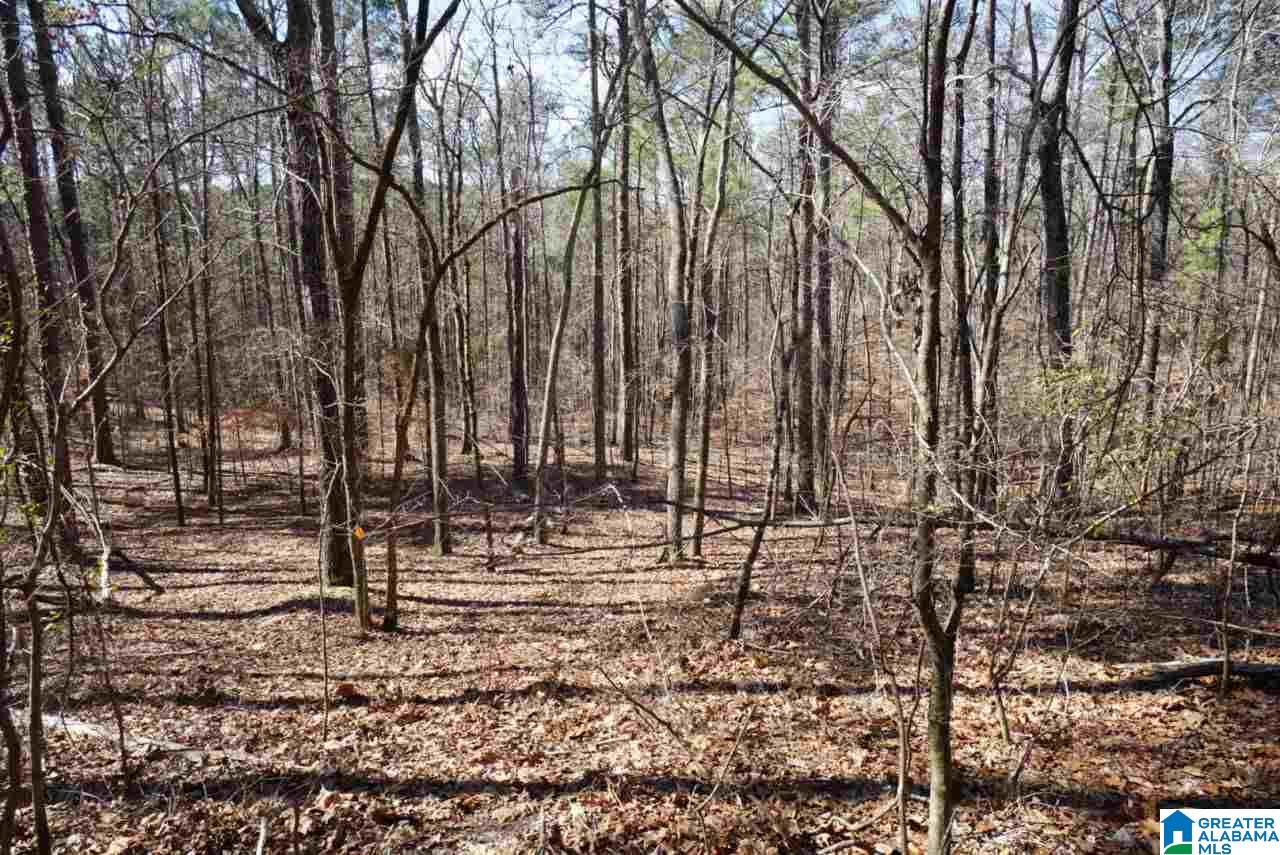 Mystic Valley View, Unit 1 Sterrett, AL 35147 - Photo 12 of 33