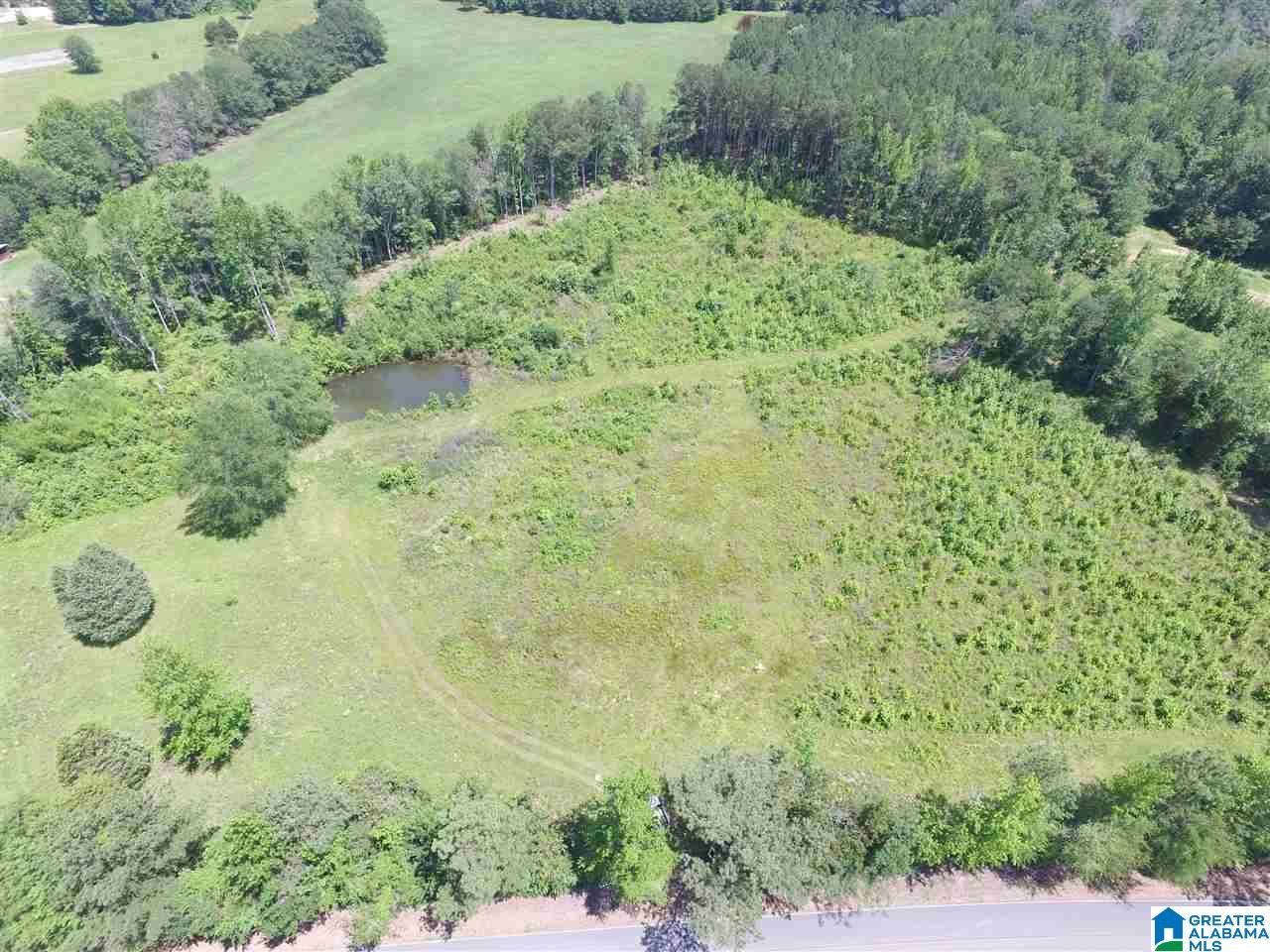 Slasham Road, Unit 10 Ashville, AL 35953 - Photo 3 of 9
