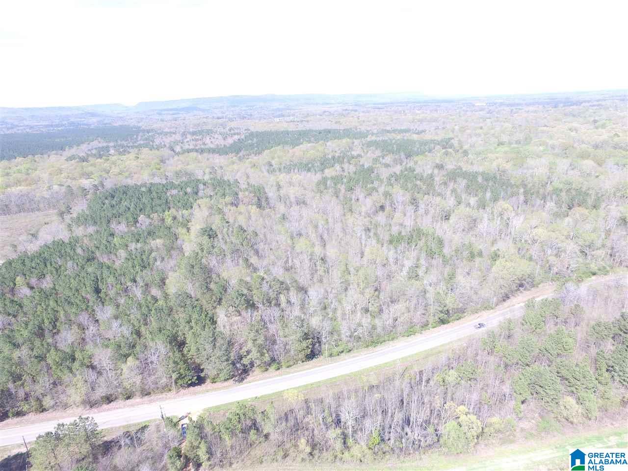 Pinedale Road, Unit 160 Ashville, AL 35953 - Photo 3 of 10