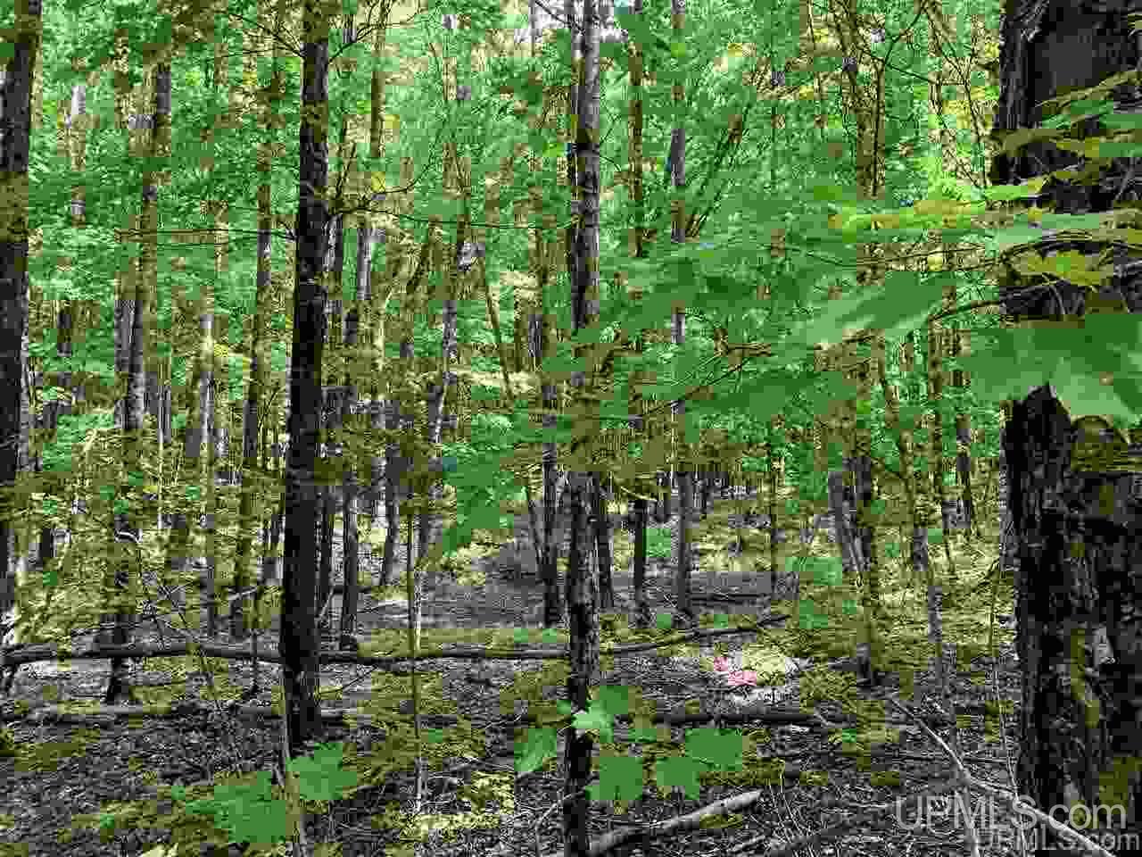 88-89 Blue Road Pelkie, MI 49958 - Photo 4 of 15
