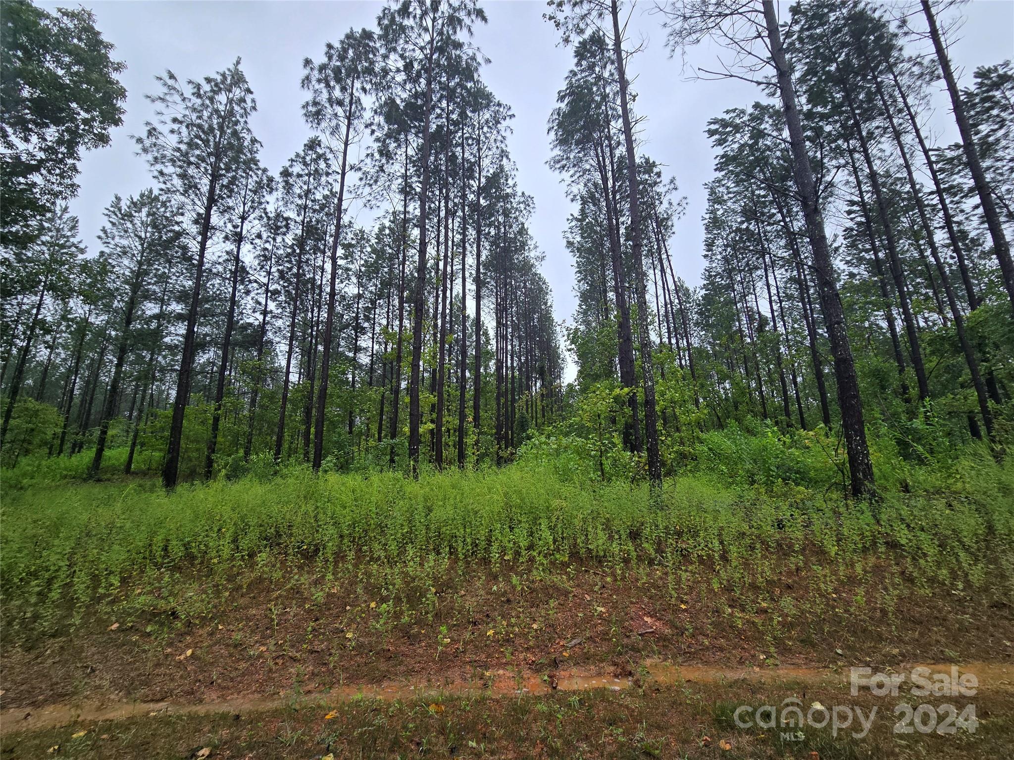 Vacant Vacant Raggle Road Gold Hill, NC 28071 - Photo 1 of 4 Gallery Image 1