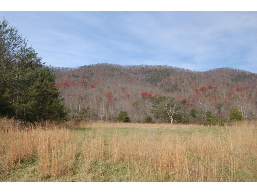 107 Barker Road Rogersville, TN 37857 - Photo 2 of 6 Photo 2