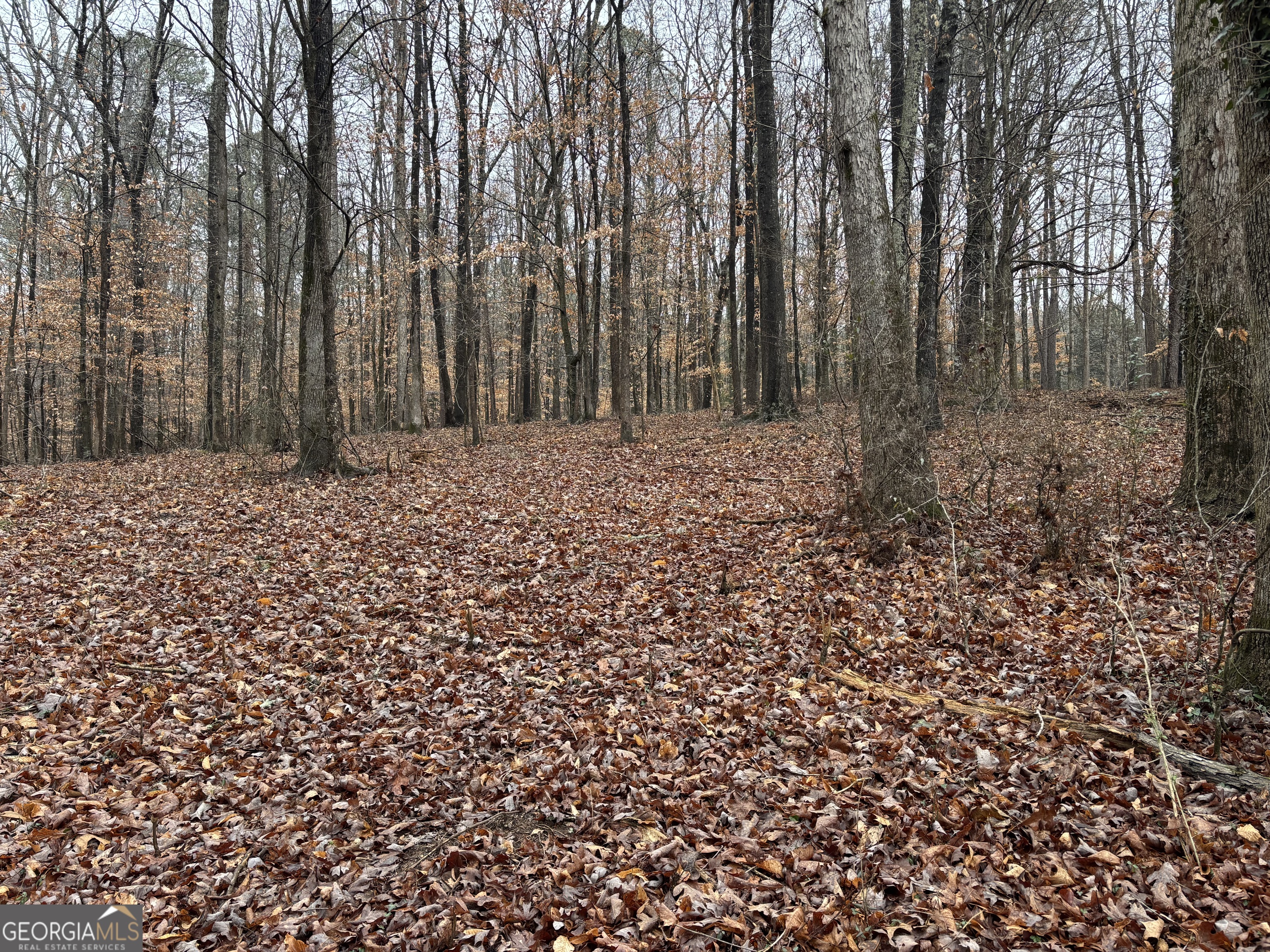 0 Lebanon Church Road Jefferson, GA 30549 - Photo 5 of 15