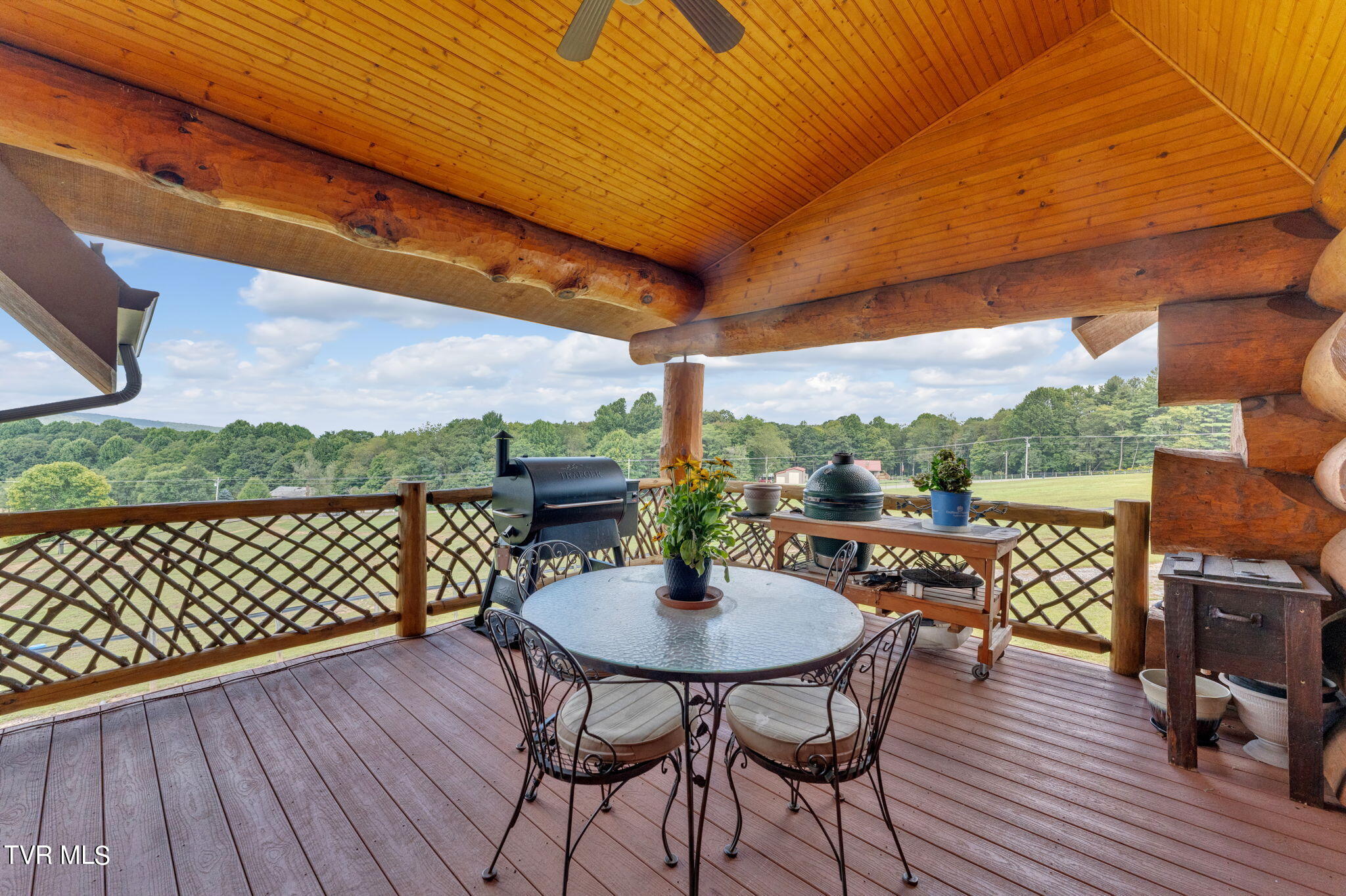 2835 Cross Mountain Road Shady Valley, TN 37688 - Photo 25 of 57 61-web-or-mls-DSC07750