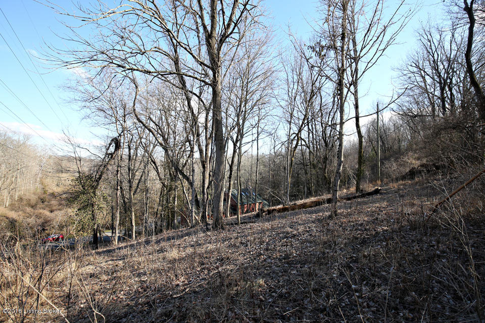 74 Westwind Road Louisville, KY 40207 - Photo 11 of 20 Some trees have been cleared