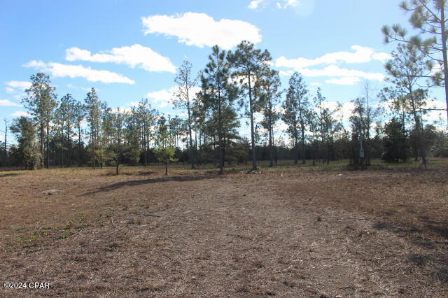 5015 Northwest County Road 274 Altha, FL 32421 - Photo 2 of 15