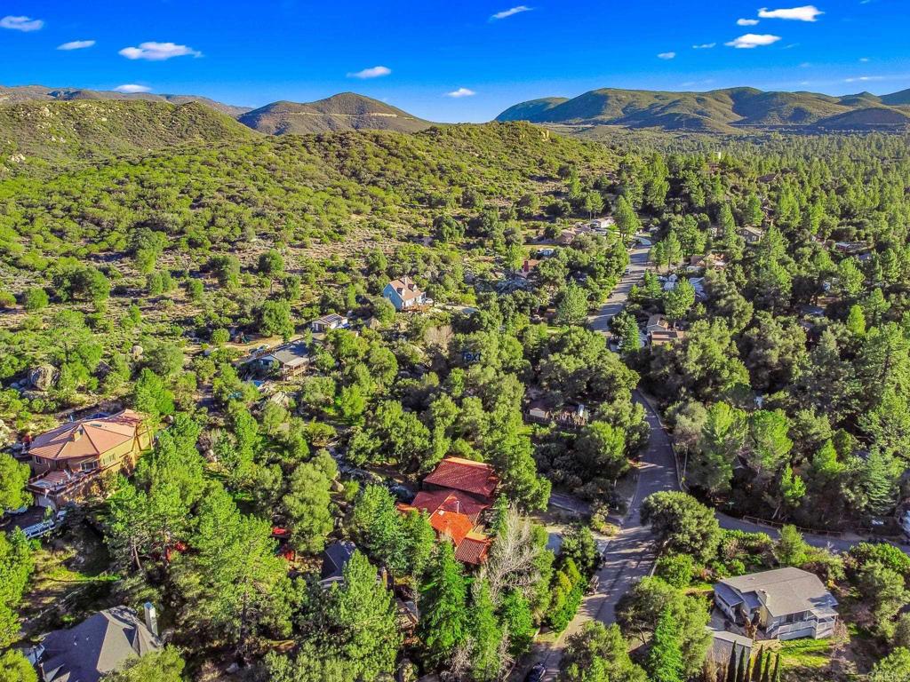8411 Foothill Boulevard Pine Valley, CA 91962 - Photo 45 of 46 a view of a yard with a tree