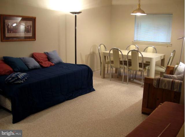 107 Spring Pl Way Annapolis, MD 21401 - Photo 13 of 29 Basement