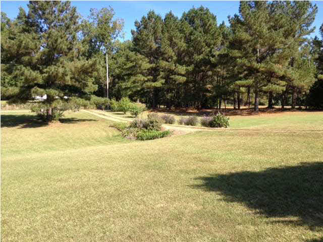 15196 New Zion Road Crystal Springs, MS 39059 - Photo 17 of 20 Photo 17