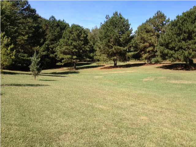15196 New Zion Road Crystal Springs, MS 39059 - Photo 18 of 20 Photo 18