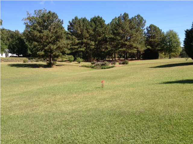 15196 New Zion Road Crystal Springs, MS 39059 - Photo 19 of 20 Photo 19