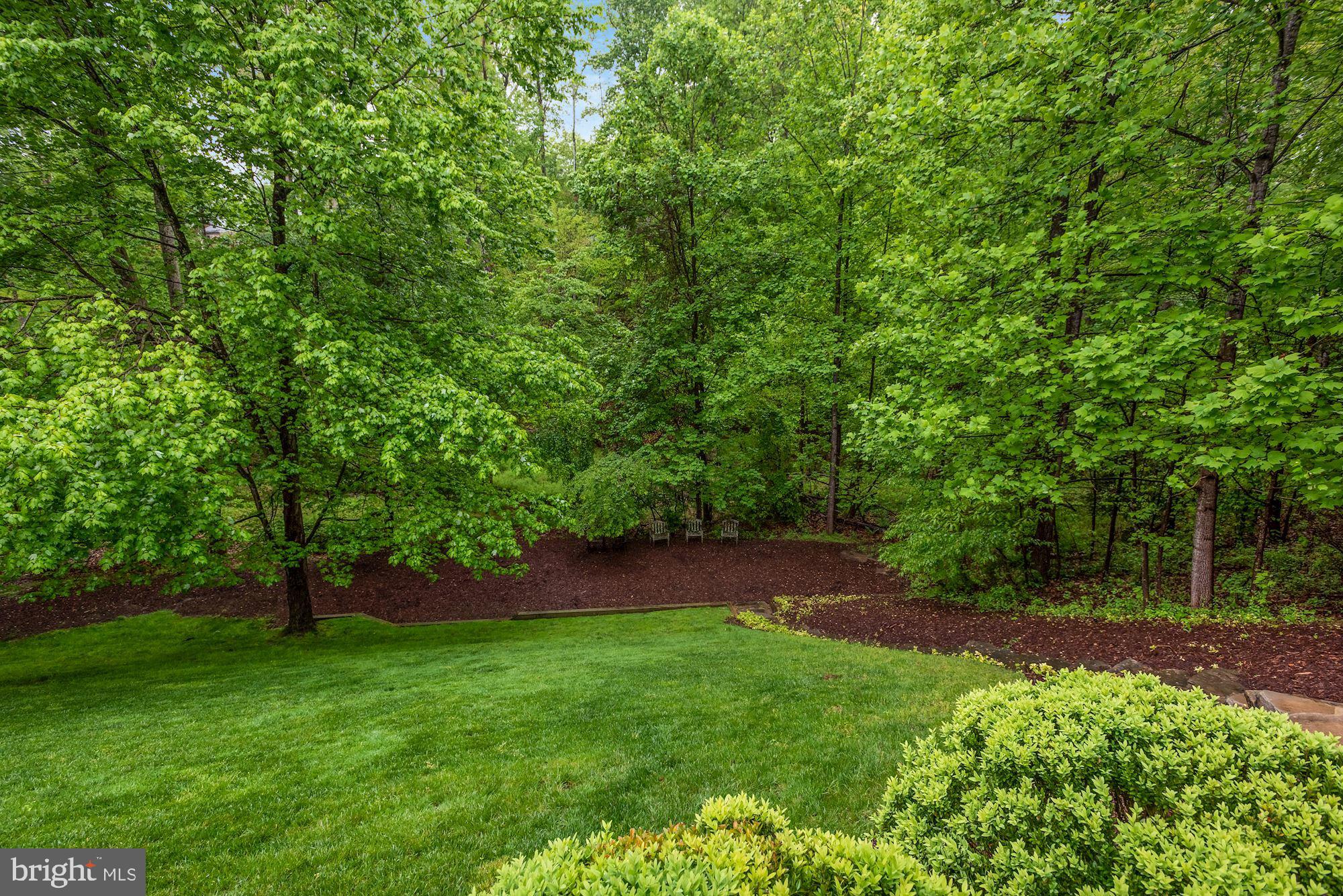 940 Swinks Mill Road McLean, VA 22102 - Photo 13 of 20 Serene Park-like Views