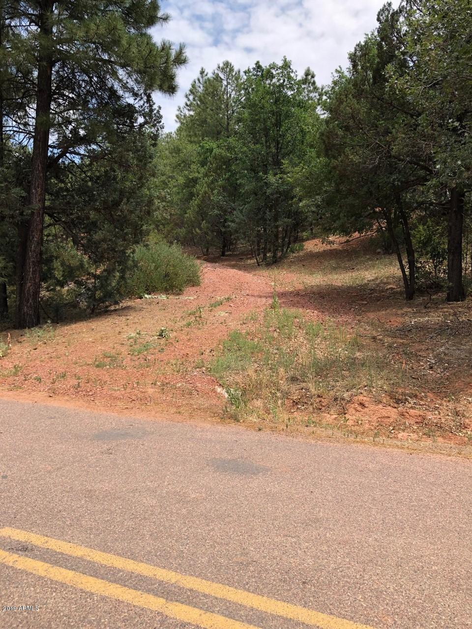 4863 Fuller Road, Unit 16 Strawberry, AZ 85544 - Photo 8 of 9 driveway N of Buffalo rd