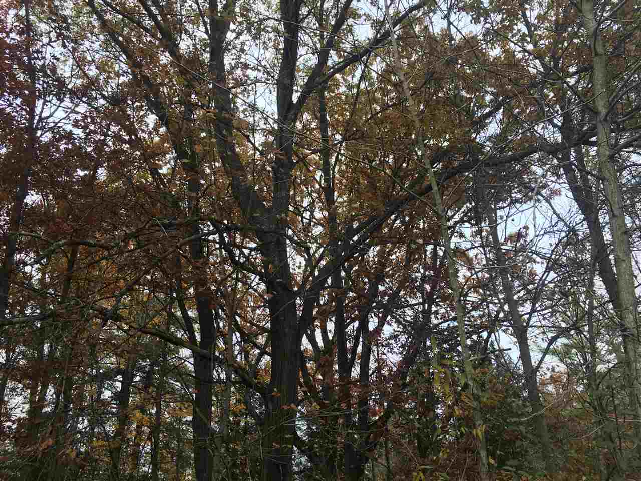 1860 Deep River Road Standish, MI 48658 - Photo 41 of 58 1868975-42.JPG