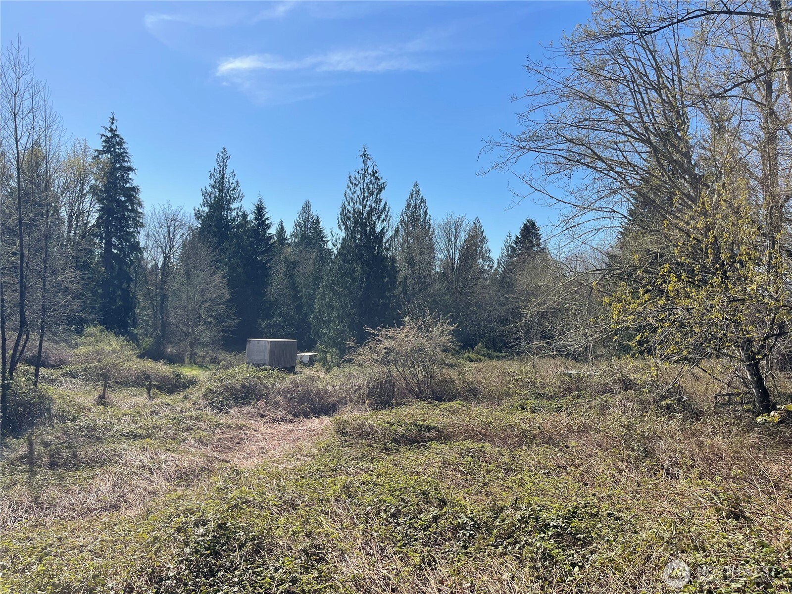 11808 Woods Lake Road Monroe, WA 98272 - Photo 1 of 11 Gallery Image 1