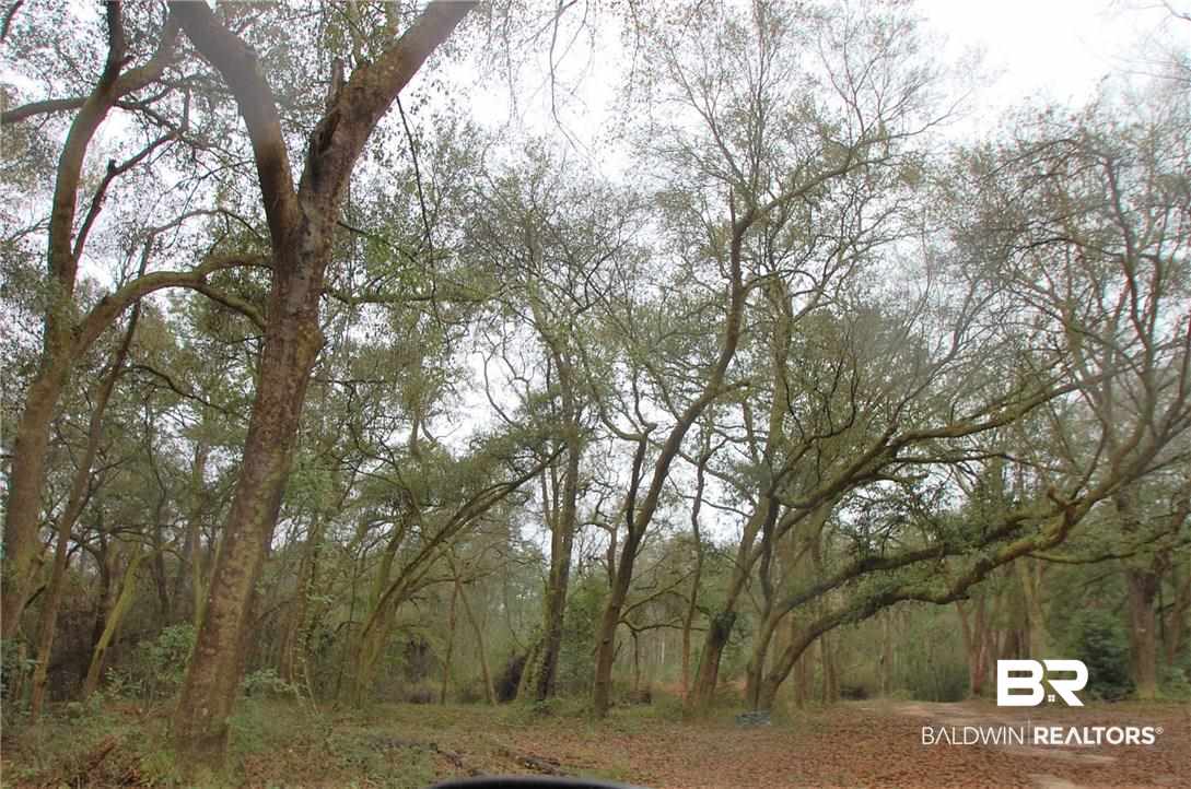 12505 Clay City Road Fairhope, AL 36532 - Photo 25 of 26